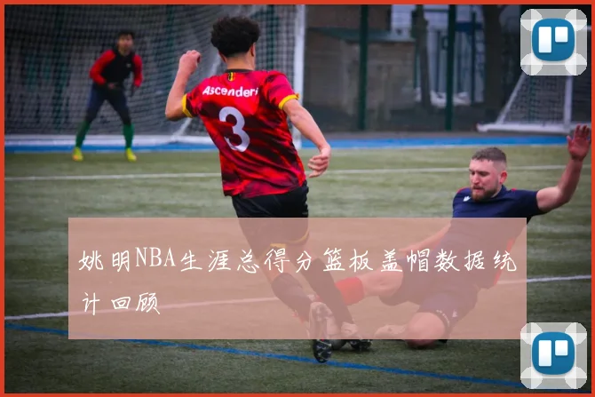 姚明NBA生涯总得分篮板盖帽数据统计回顾