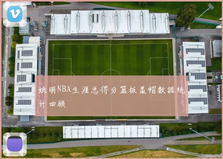 姚明NBA生涯总得分篮板盖帽数据统计回顾