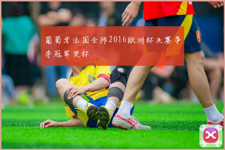 葡萄牙法国会师2016欧洲杯决赛争夺冠军奖杯