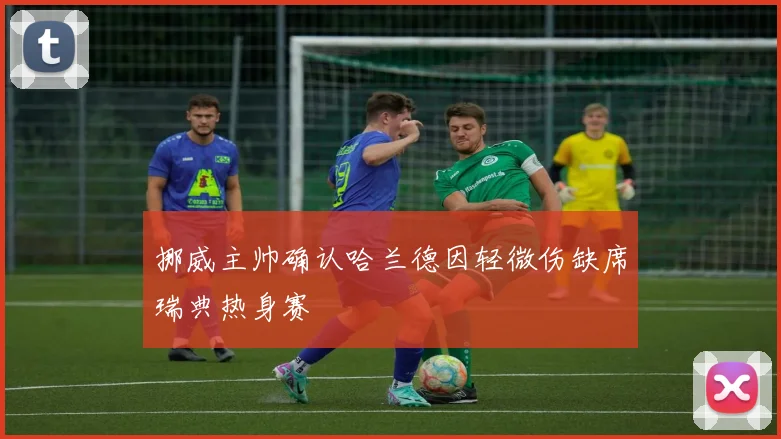挪威主帅确认哈兰德因轻微伤缺席瑞典热身赛