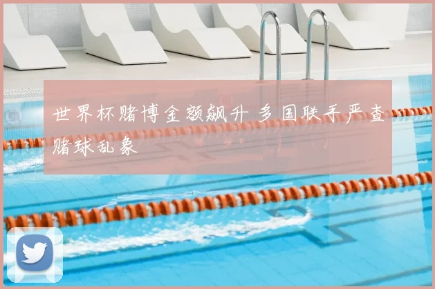 世界杯赌博金额飙升 多国联手严查赌球乱象