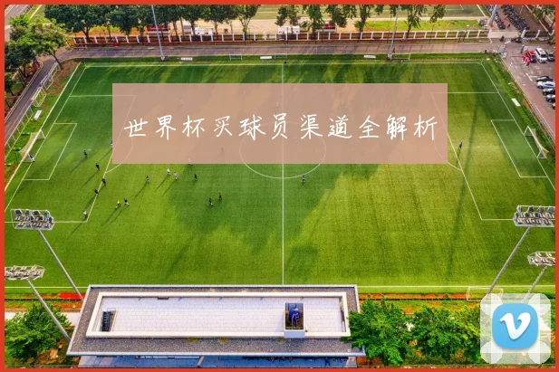 世界杯买球员渠道全解析